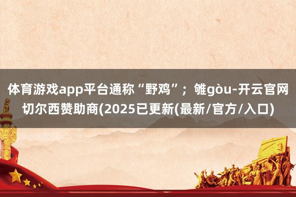 体育游戏app平台通称“野鸡”；雊gòu-开云官网切尔西赞助商(2025已更新(最新/官方/入口)