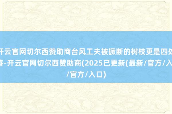 开云官网切尔西赞助商台风工夫被撅断的树枝更是四处洒落-开云官网切尔西赞助商(2025已更新(最新/官方/入口)