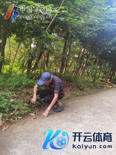 教师、喜吃甜食……102岁老东说念主共享他的“长命隐秘” 坚握清扫山路十年