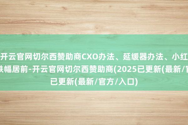 开云官网切尔西赞助商CXO办法、延缓器办法、小红书办法等跌幅居前-开云官网切尔西赞助商(2025已更新(最新/官方/入口)