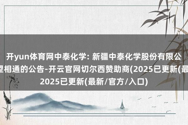 开yun体育网中泰化学: 新疆中泰化学股份有限公司主体评级瞻望相通的公告-开云官网切尔西赞助商(2025已更新(最新/官方/入口)