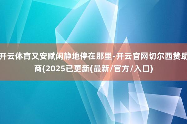 开云体育又安赋闲静地停在那里-开云官网切尔西赞助商(2025已更新(最新/官方/入口)